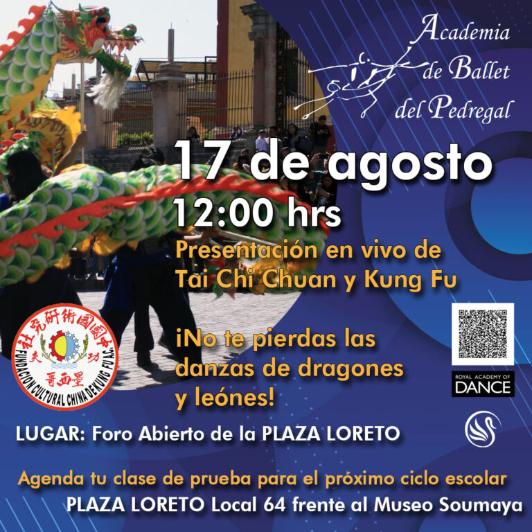 Presentación en vivo de Tai Chi Chuan y Kung Fu